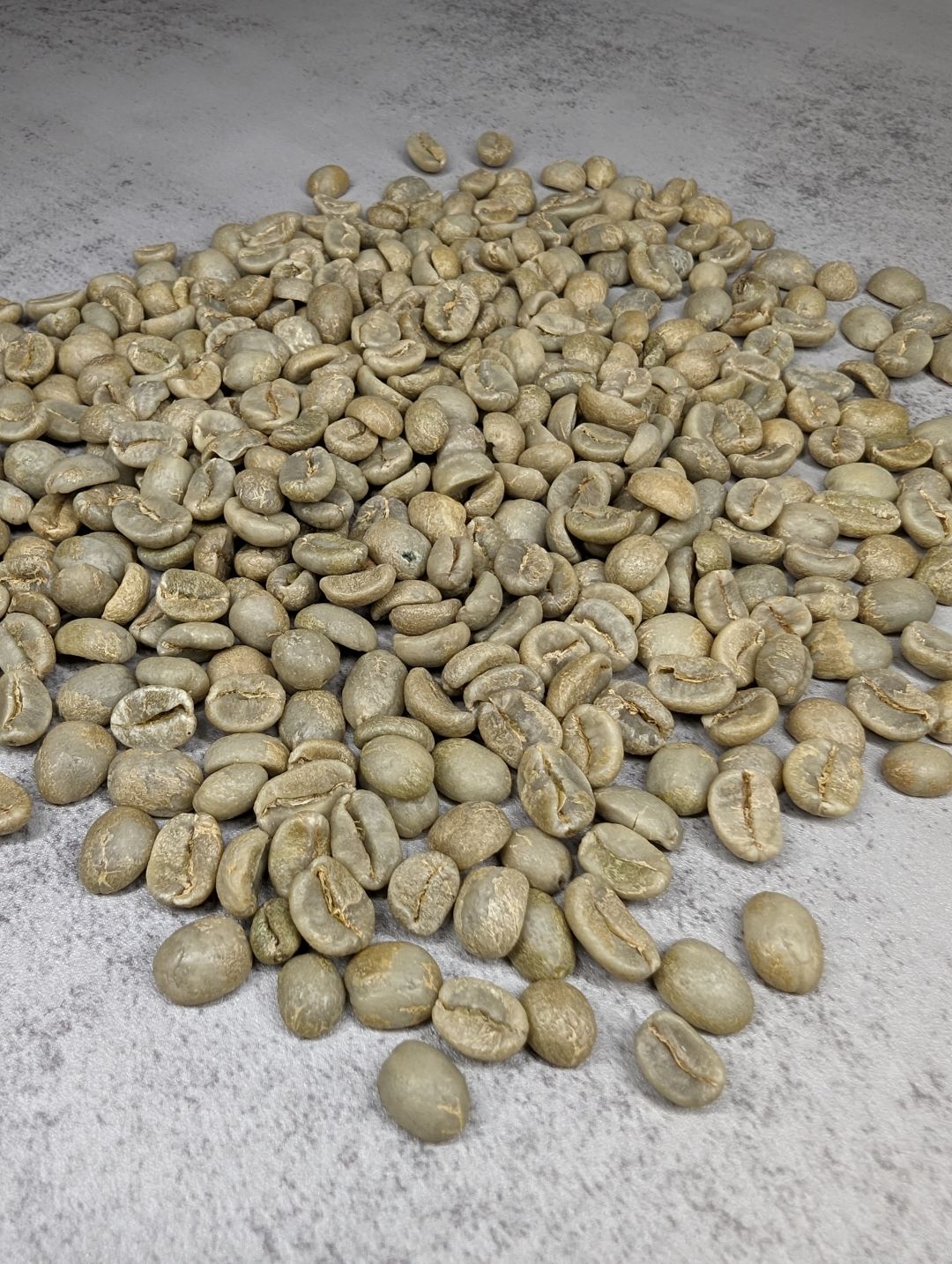 ORIGIN BLEND: MOSAIC HOUSE BLEND